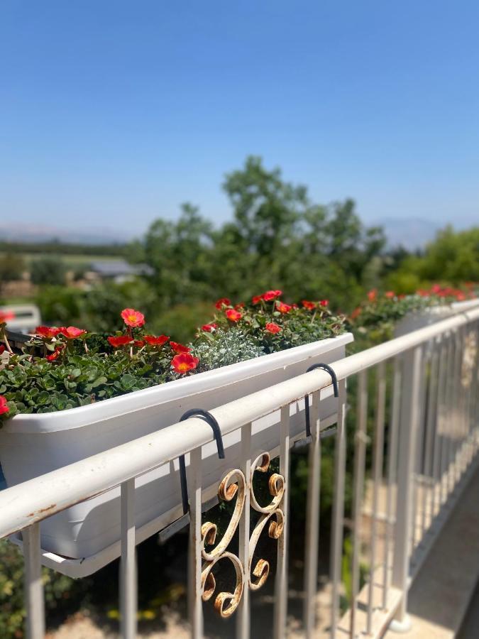 Апартаменты The Roof Кфар-Блюм Экстерьер фото